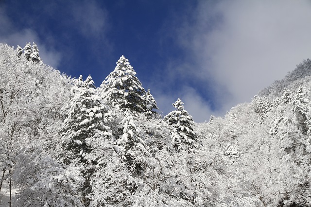 雪景色