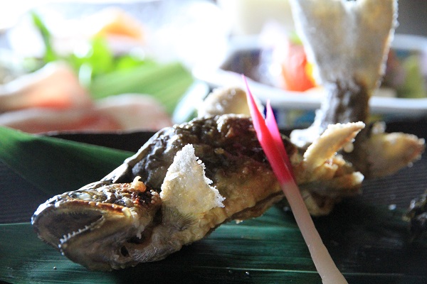 岩魚塩焼き 岩魚塩焼き
