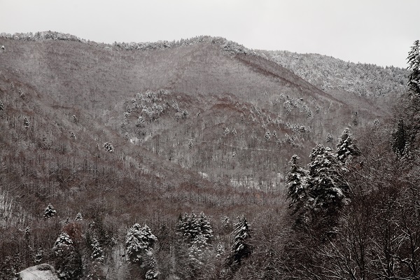 2017初雪_山間を望む