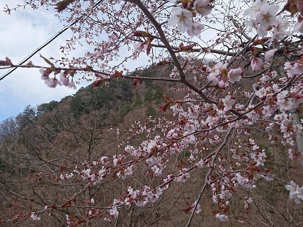 20190511 20190511